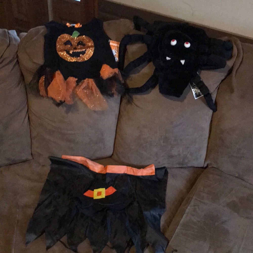 COPY - Dog Halloween costumes